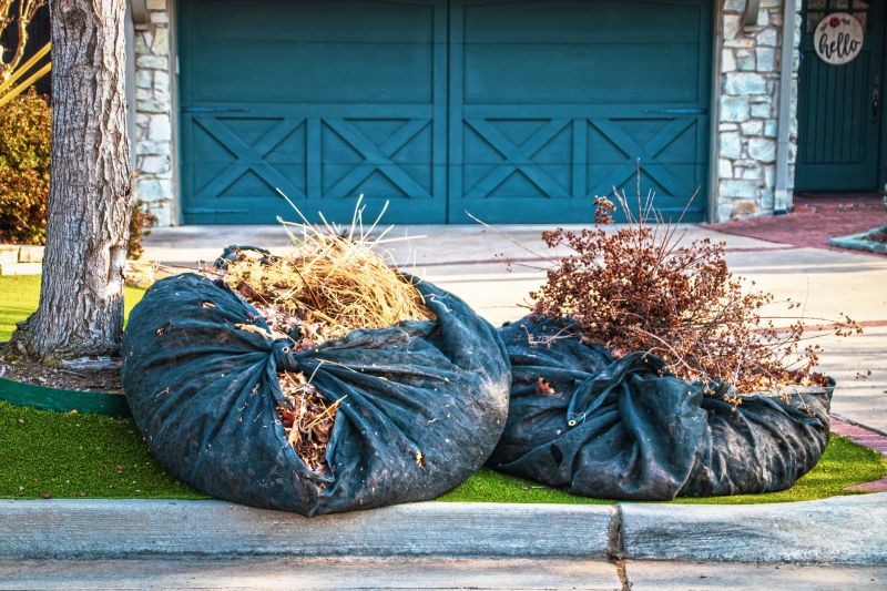 Junk Removal Service